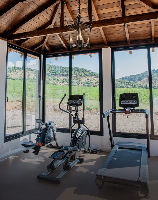 Gimnasio con vistas Gimnasio con vistas al entorno de Hotel Corbella